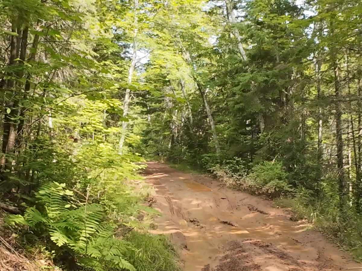 Sweet Mountain photo 5