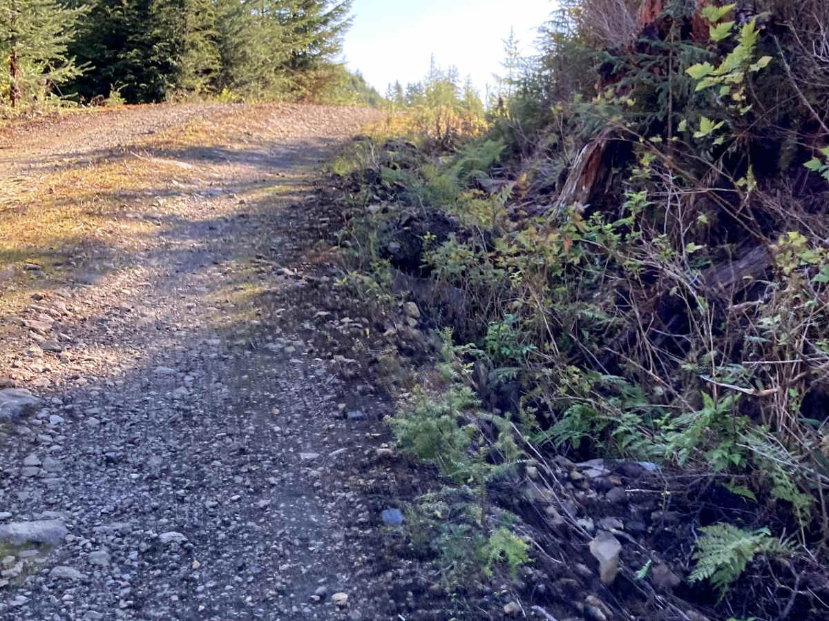 Tripp III trail photo