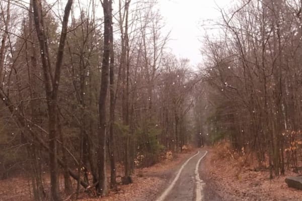 Hammond Hill Track