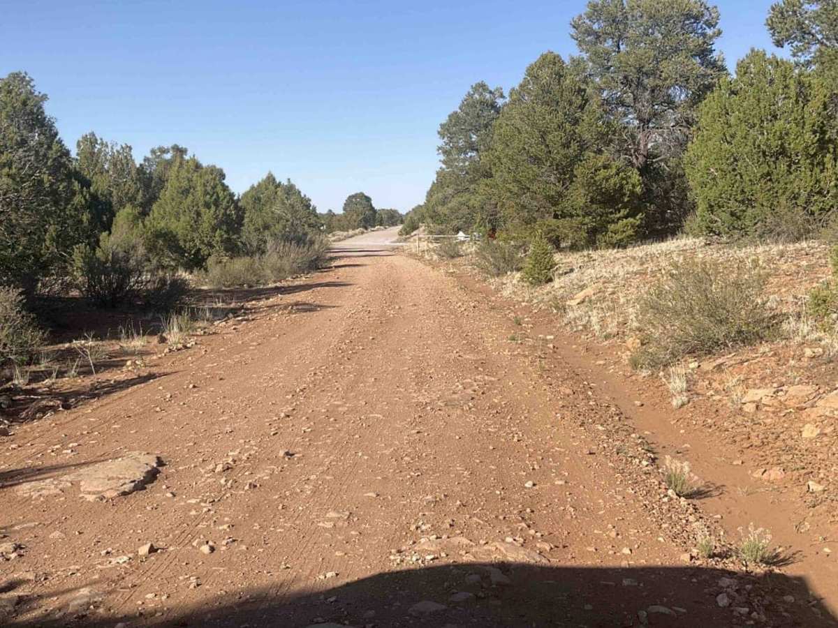 Marshall Lake Road photo 3