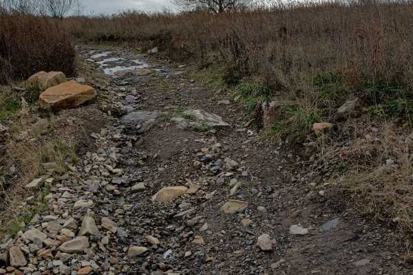 Trail 11Ext - Rock Run Recreation Area