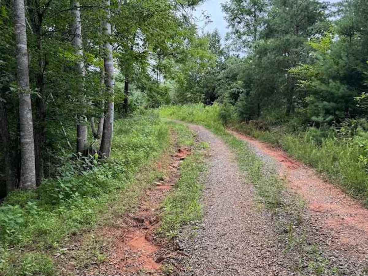 Little Cedar trail photo