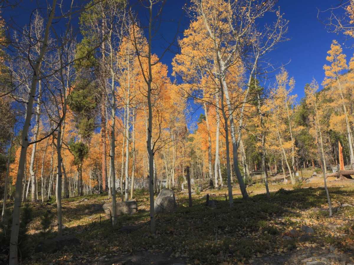 Old Chalk Rd (Co Rd 292) photo 3