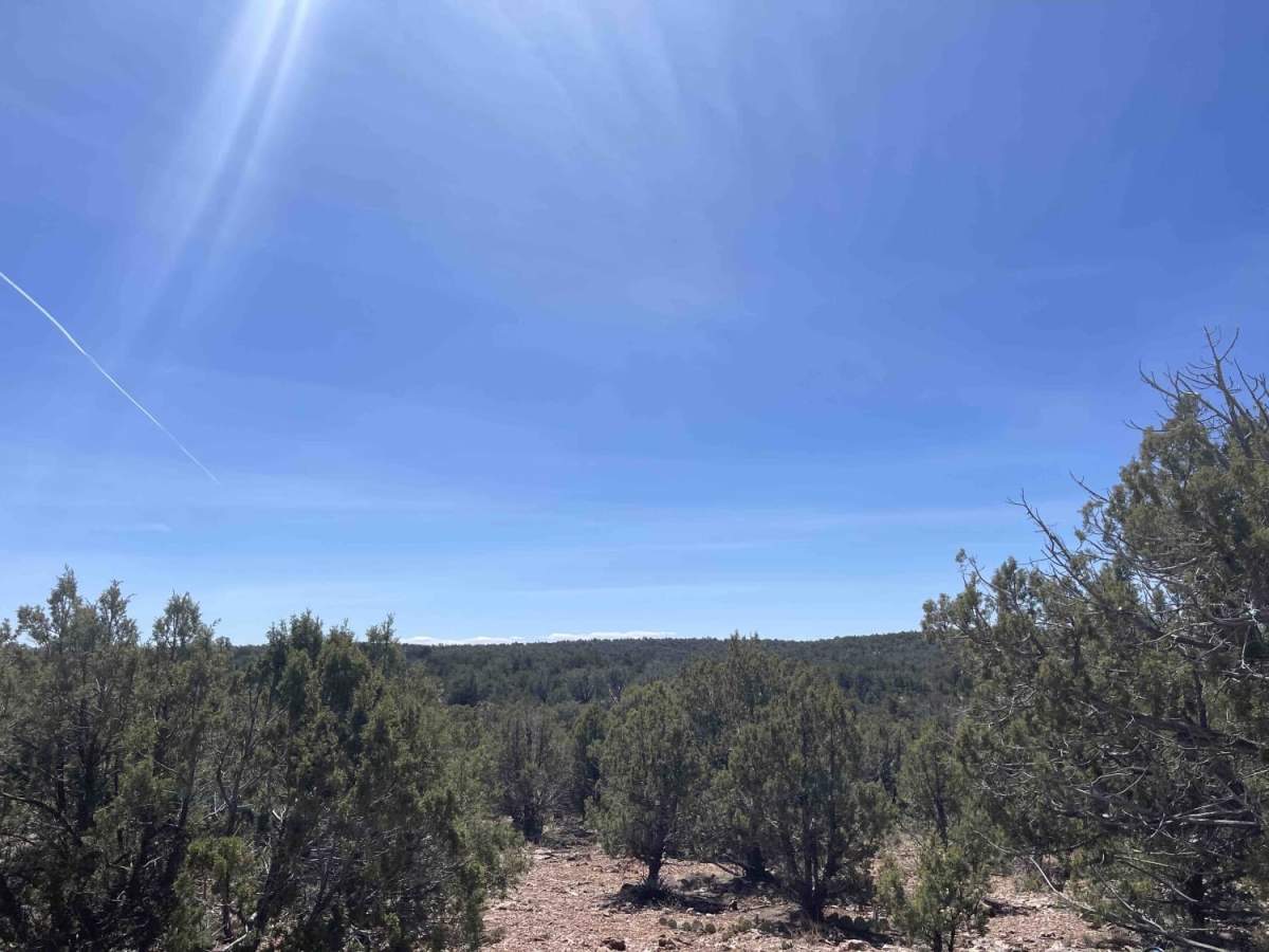 Juniper Meadows trail photo