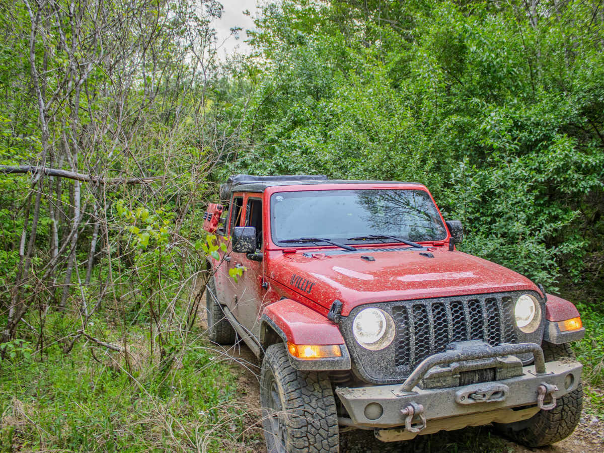 R59 photo 6