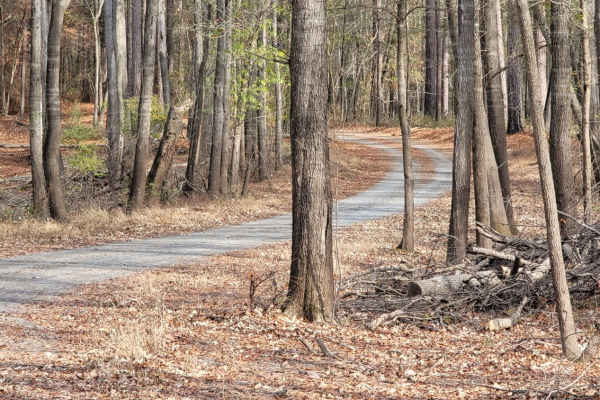 Enter Bodcau Wildlife Management Area