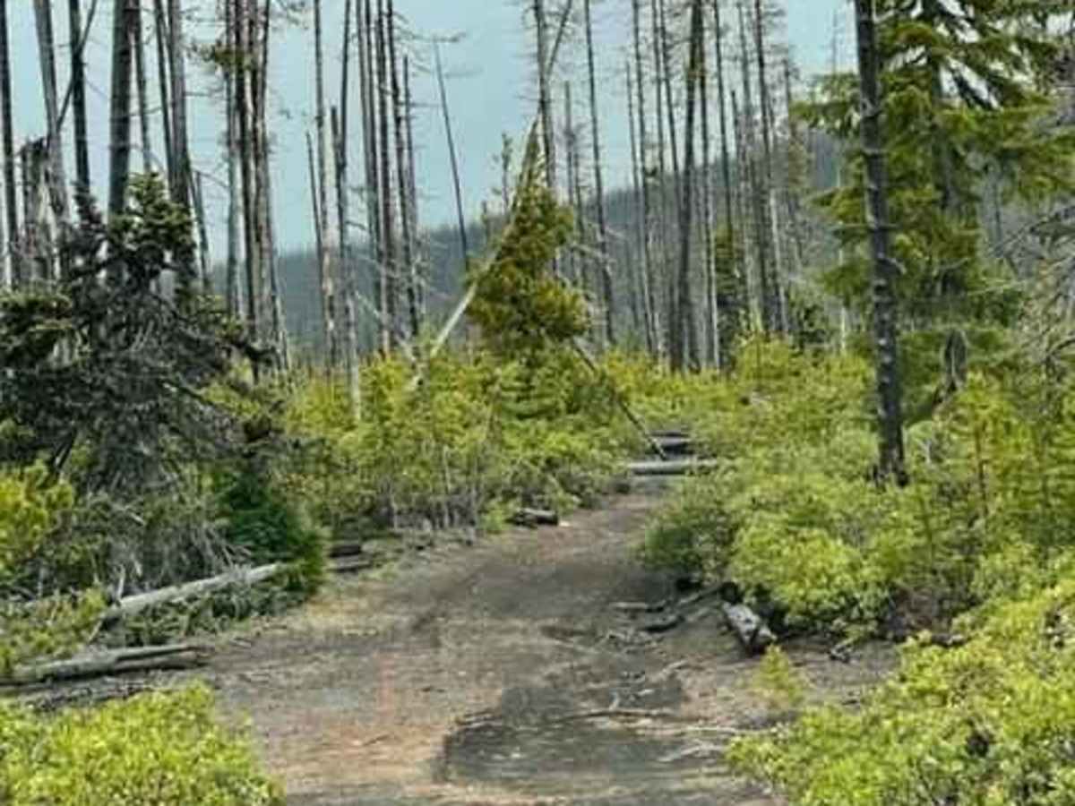High Lakes to North Blowout Shelter photo 3