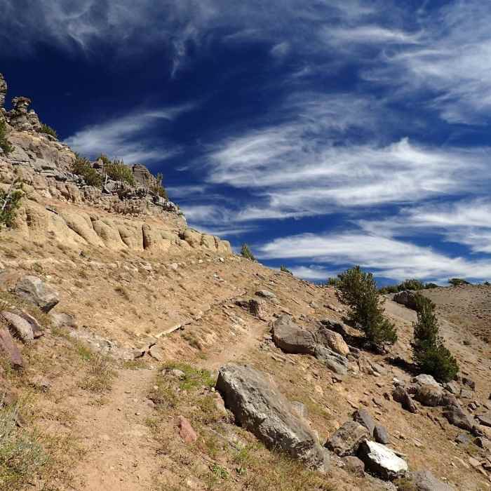 Along the Summit Trail below Warren Peak Near Summit Trail #15E10