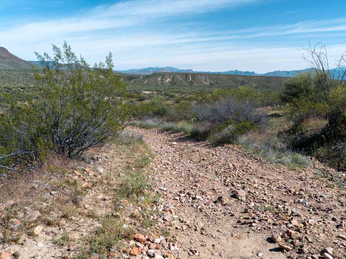FS 241 trail photo