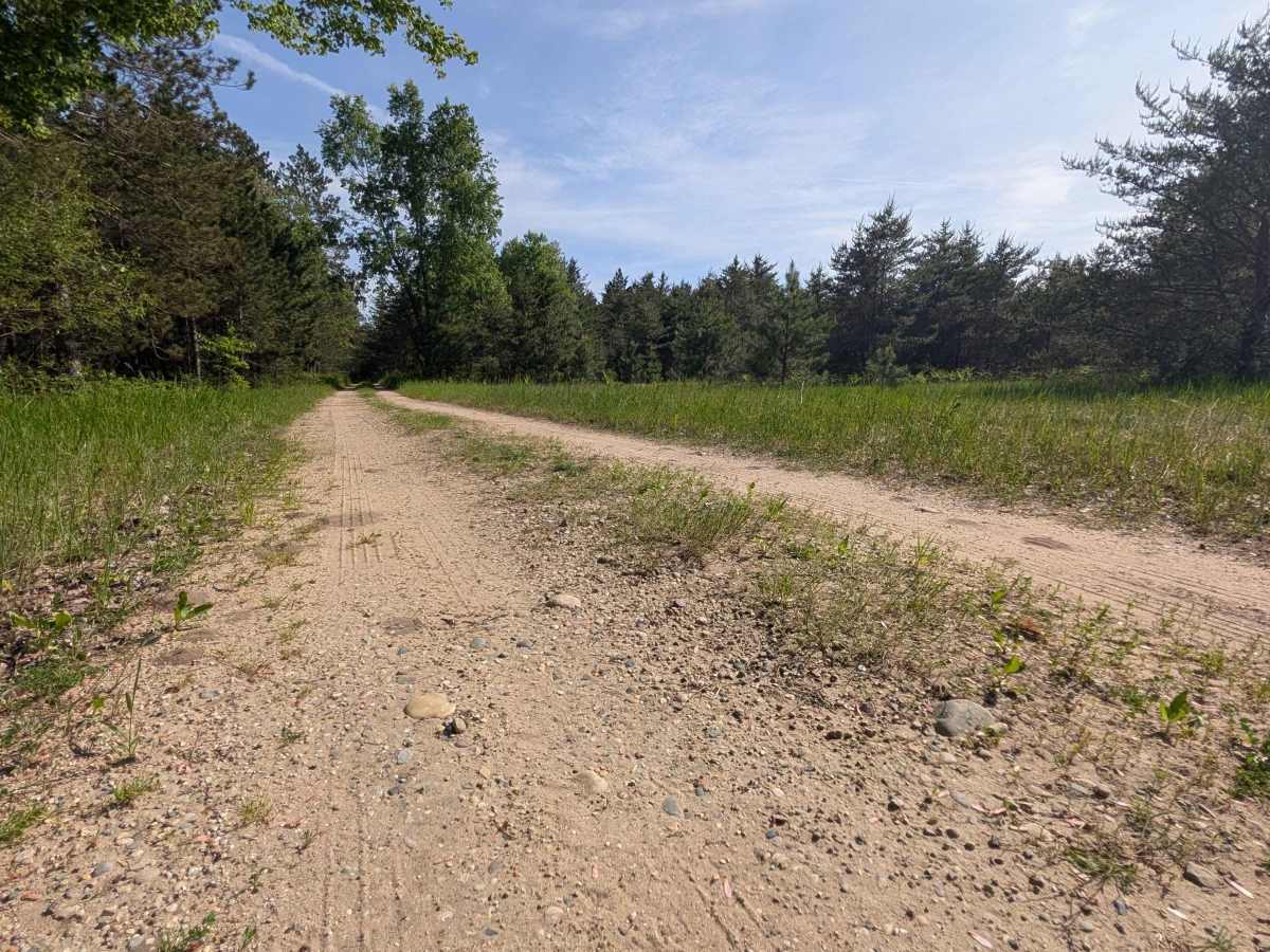 Swamp Camp Trail photo 2