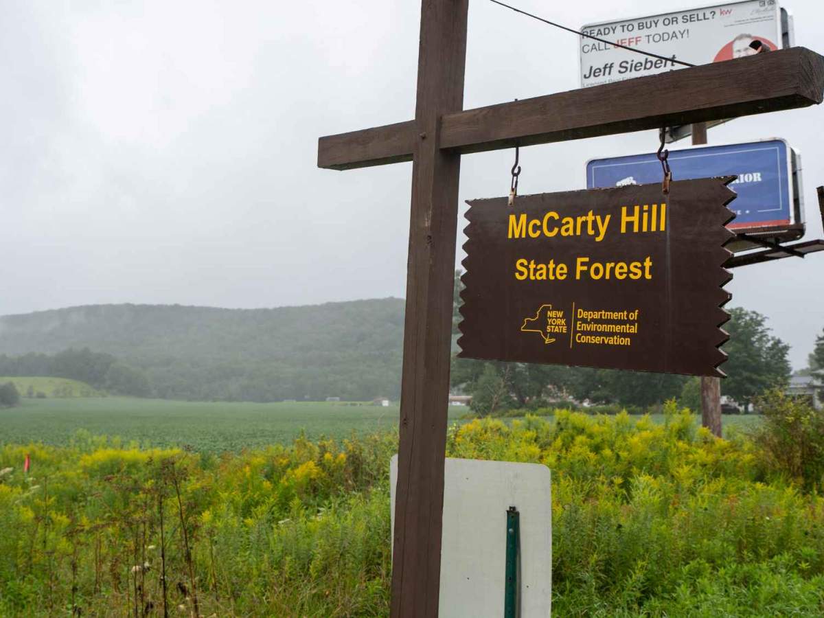 Eagle Forest Road photo 2
