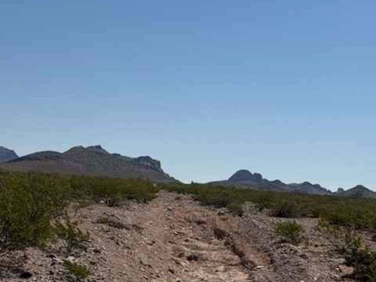SS1149 photo 5