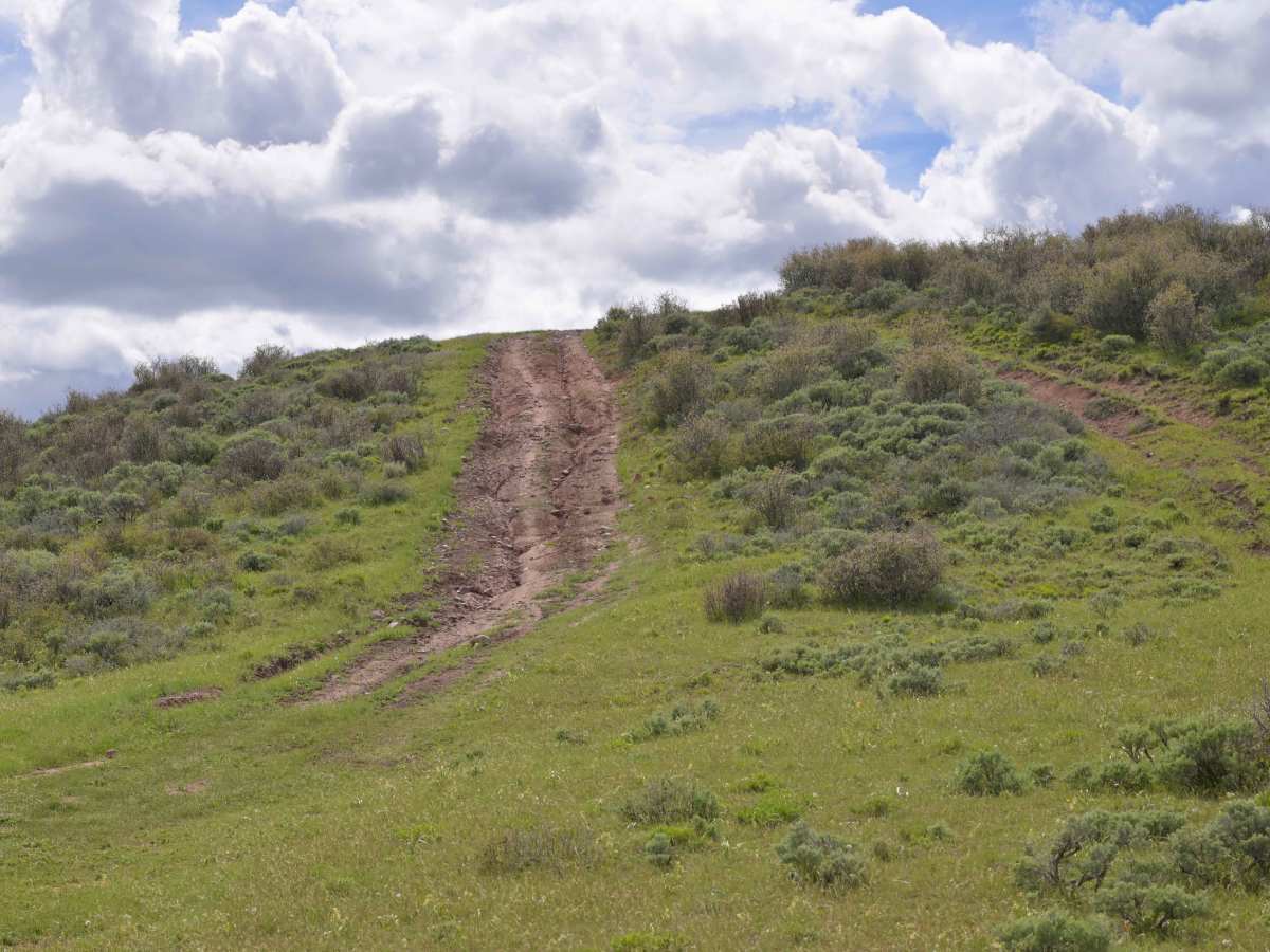 Bull Spring - FS 10578 photo 2