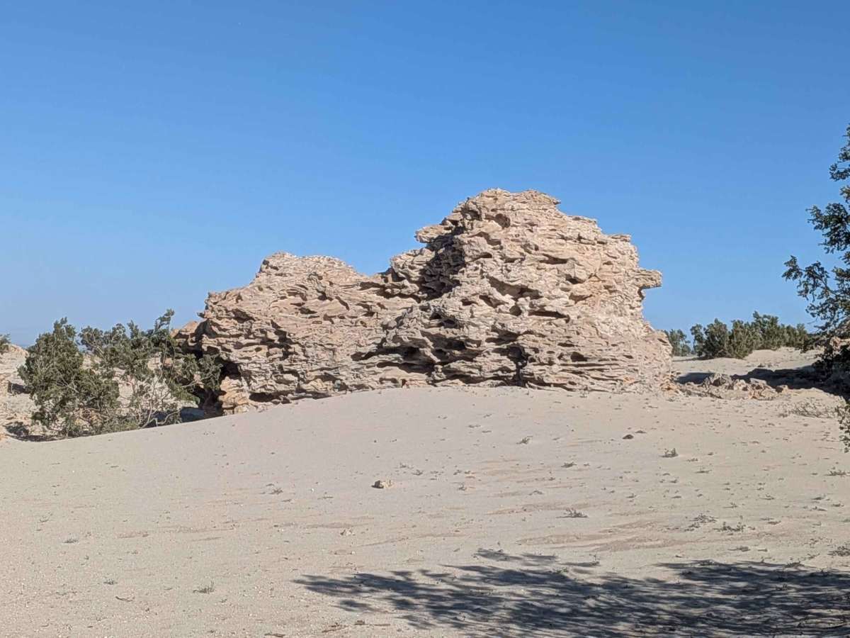 BLM 327 photo 2