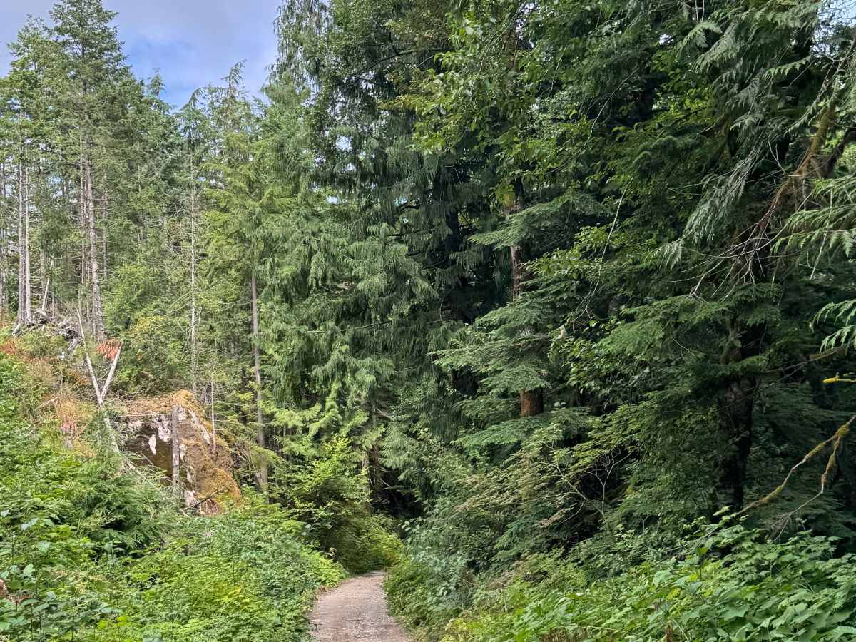 Francis Lake photo 2