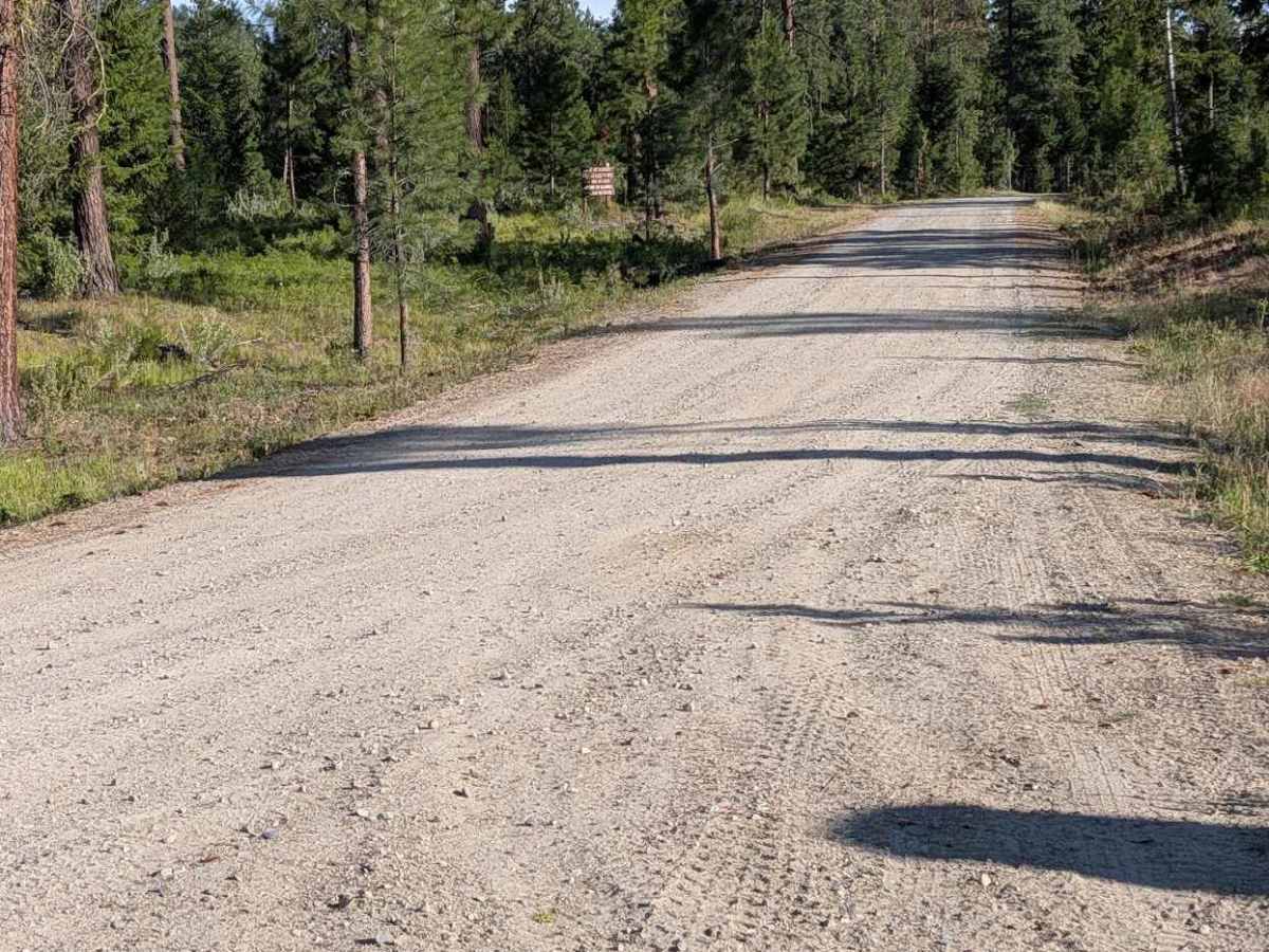 3700-100 Conger Creek Rd trail photo