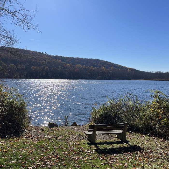 Near Deer Park Loop Near Deer Park Loop