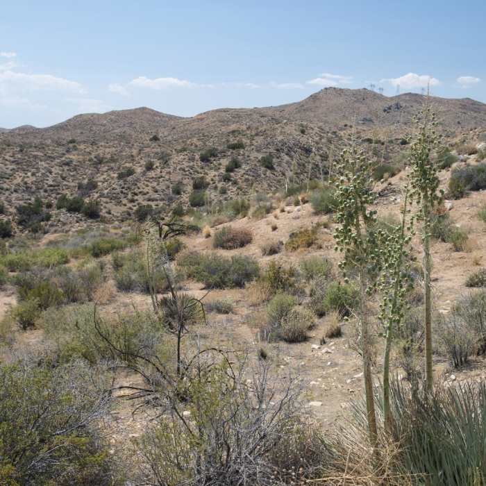 Near Lower Deep Creek Canyon + Warm Springs Near Lower Deep Creek Canyon + Warm Springs