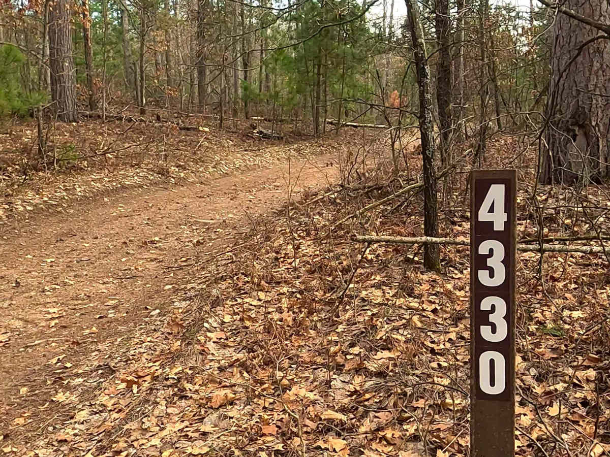 Woods - FS 4330 trail photo