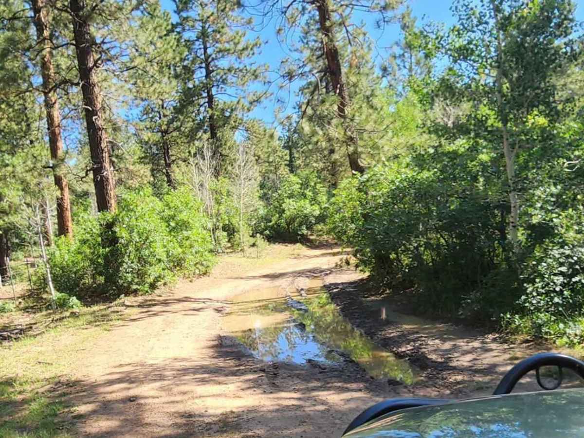 Millwood Road trail photo