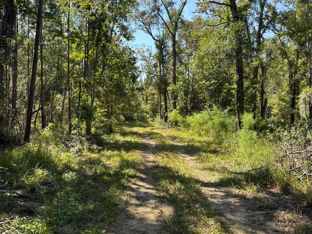 Boundary Loop photo 6