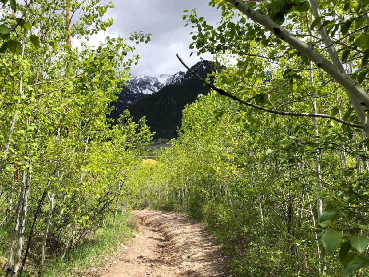 Stewart Trail photo 3