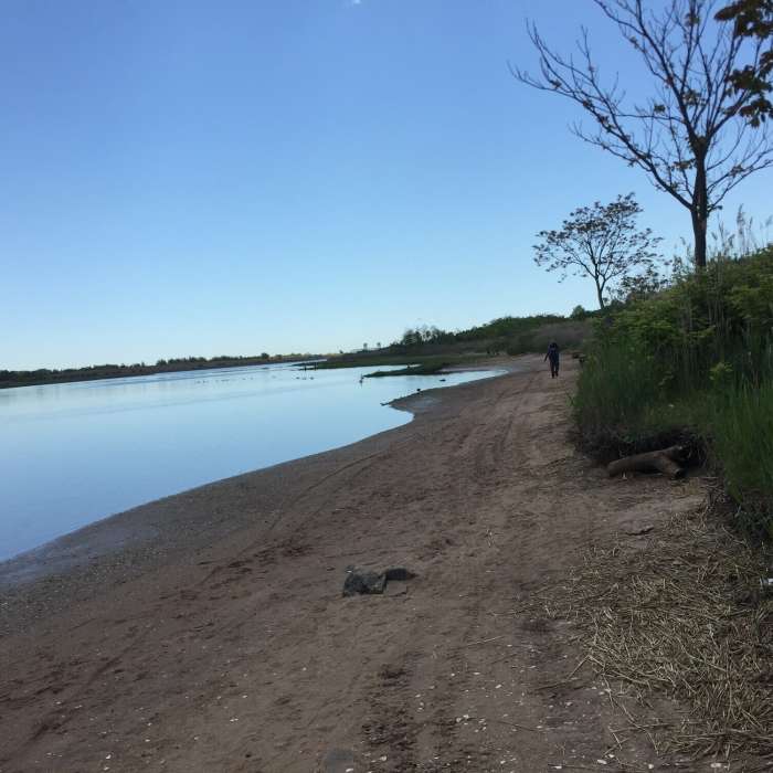 Near Marine Park: West Loop