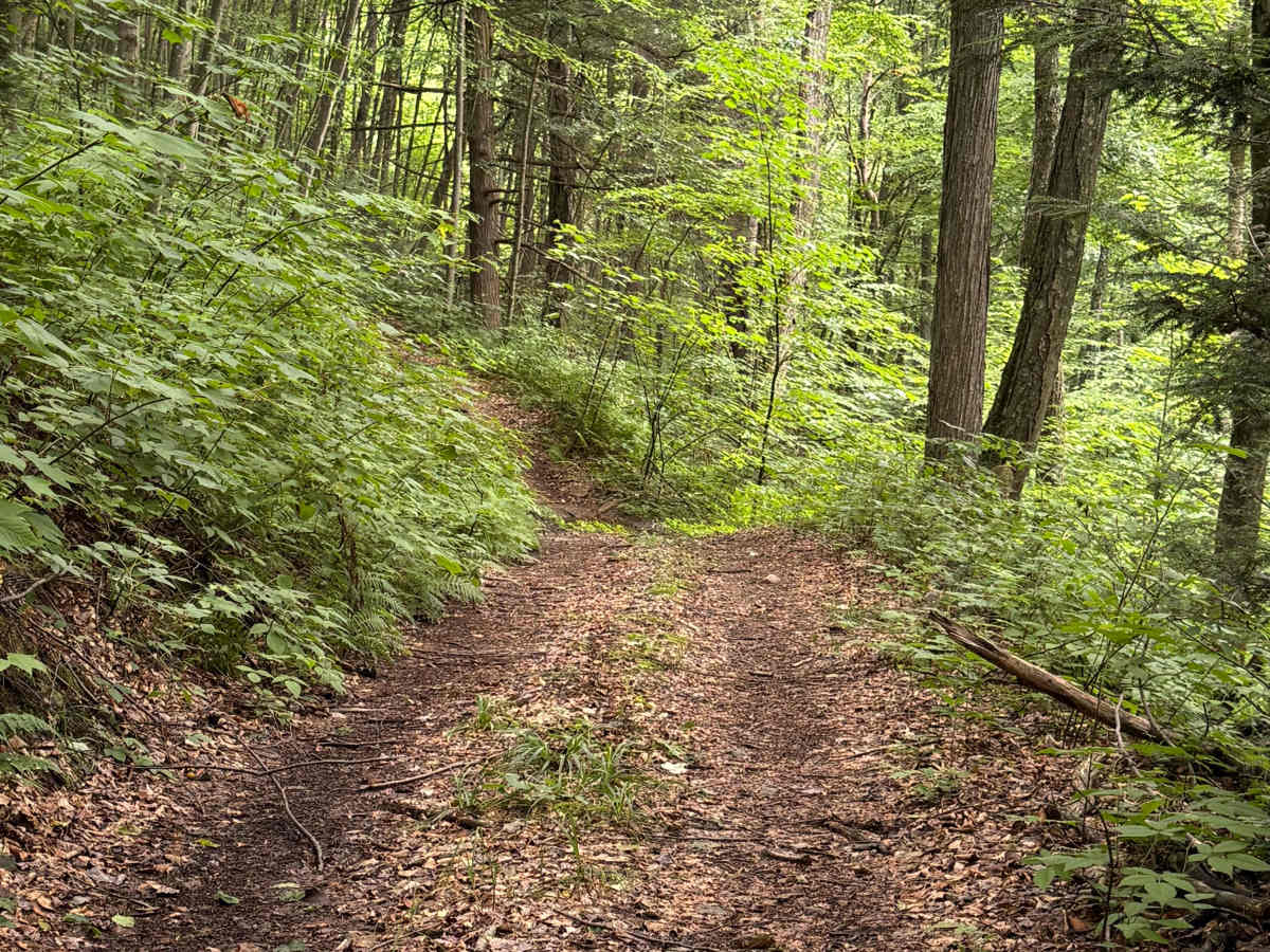 Trail 34 photo 2
