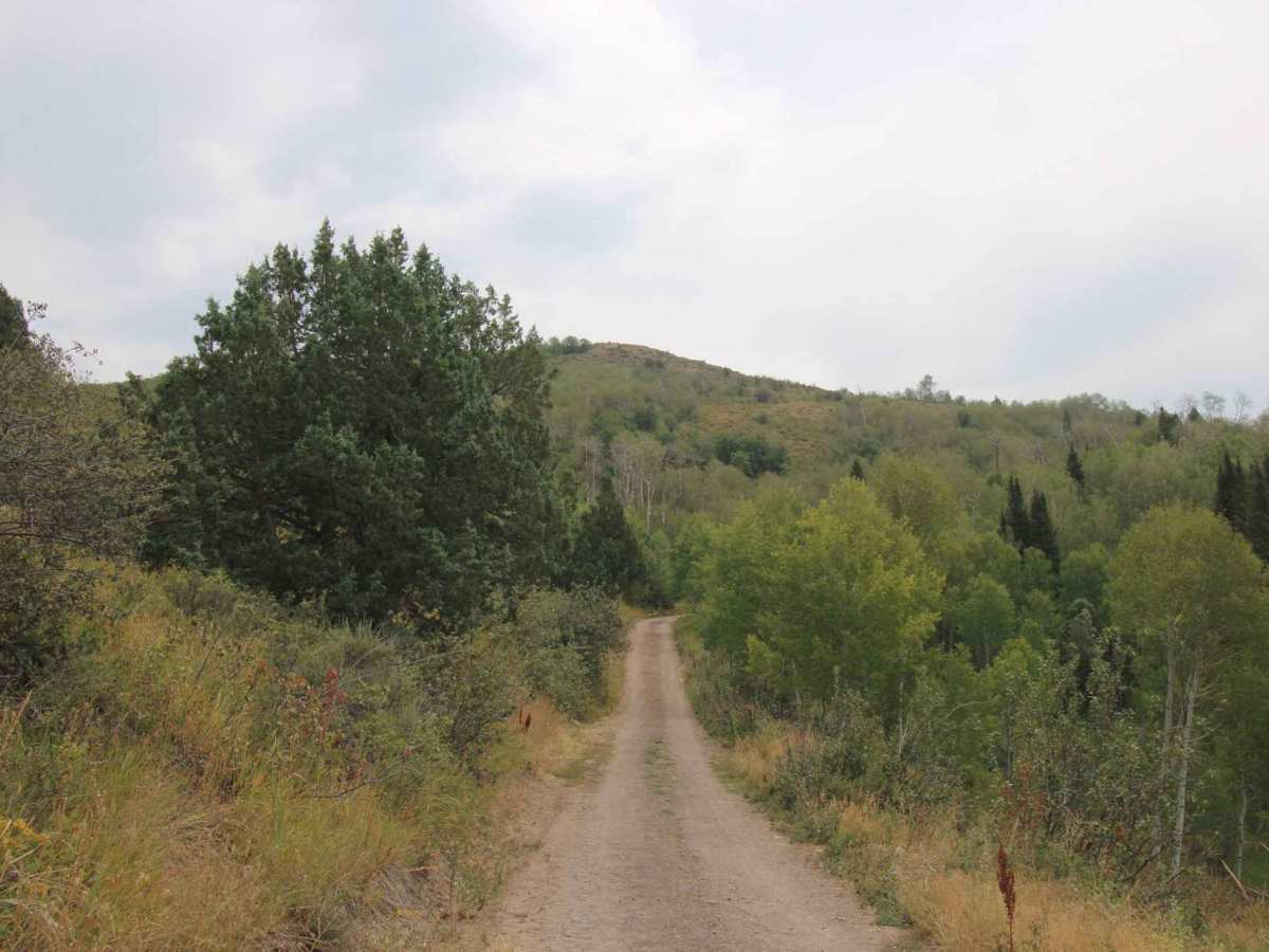 Marie Spring - FS 20147 trail photo