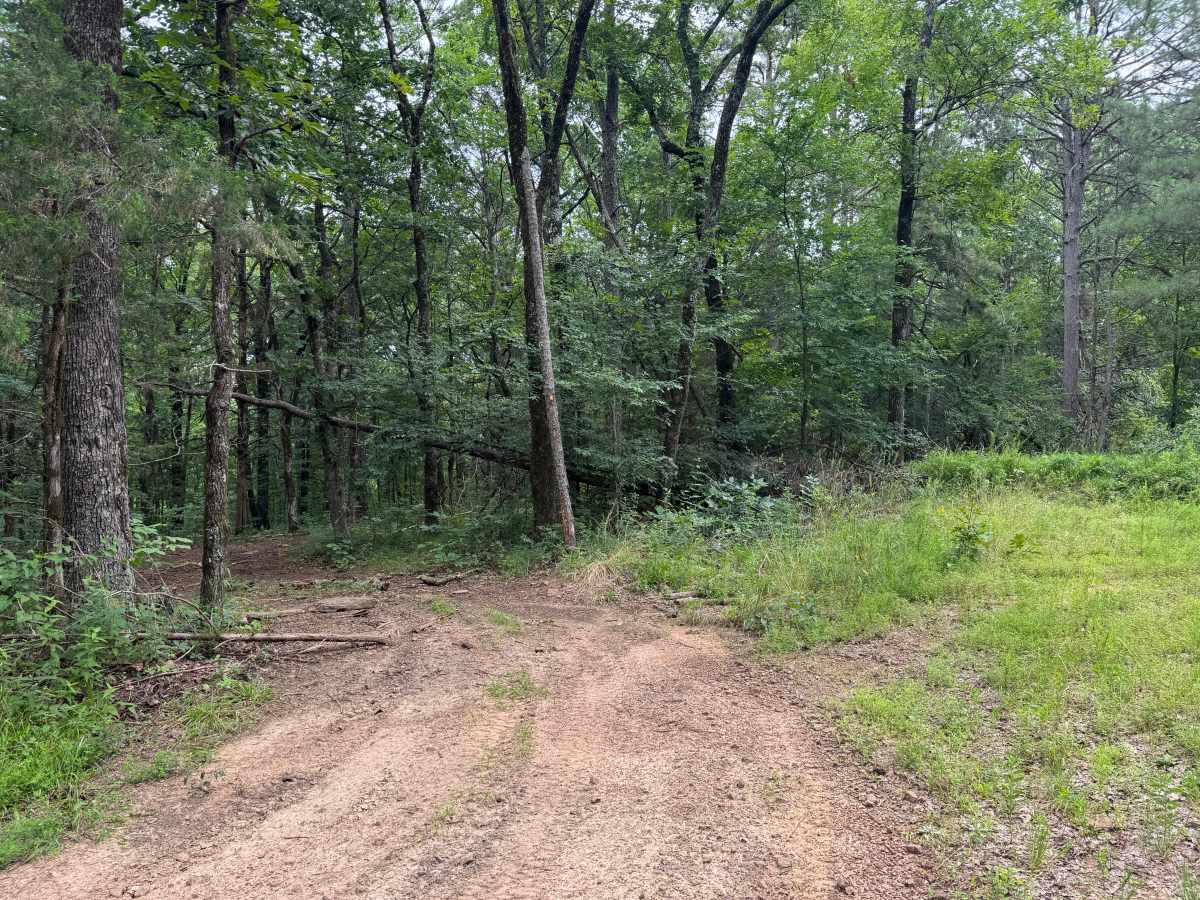 Bigham Road photo 3