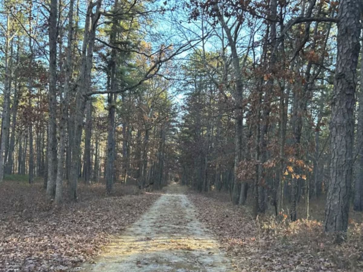 Lee's Trail photo 5