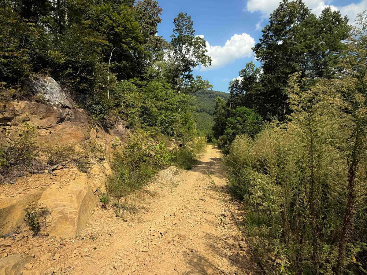 Shack Creek Road   photo 4