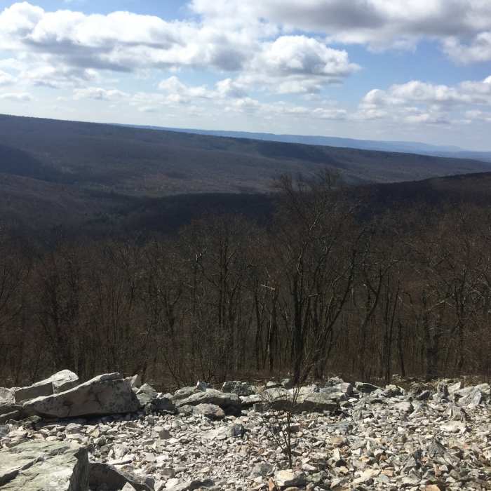 Near Musser/Shingletown Loop