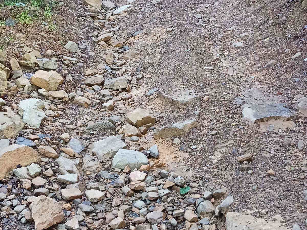Trail 12S - Rock Run Recreation Area photo 3