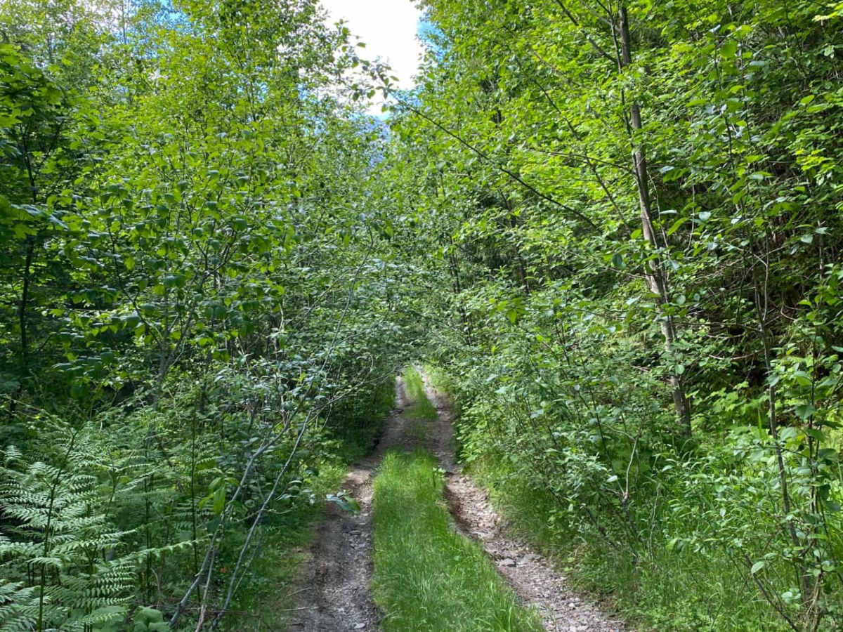 Bacon Creek trail photo