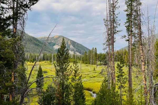 Cape Horn Creek Access