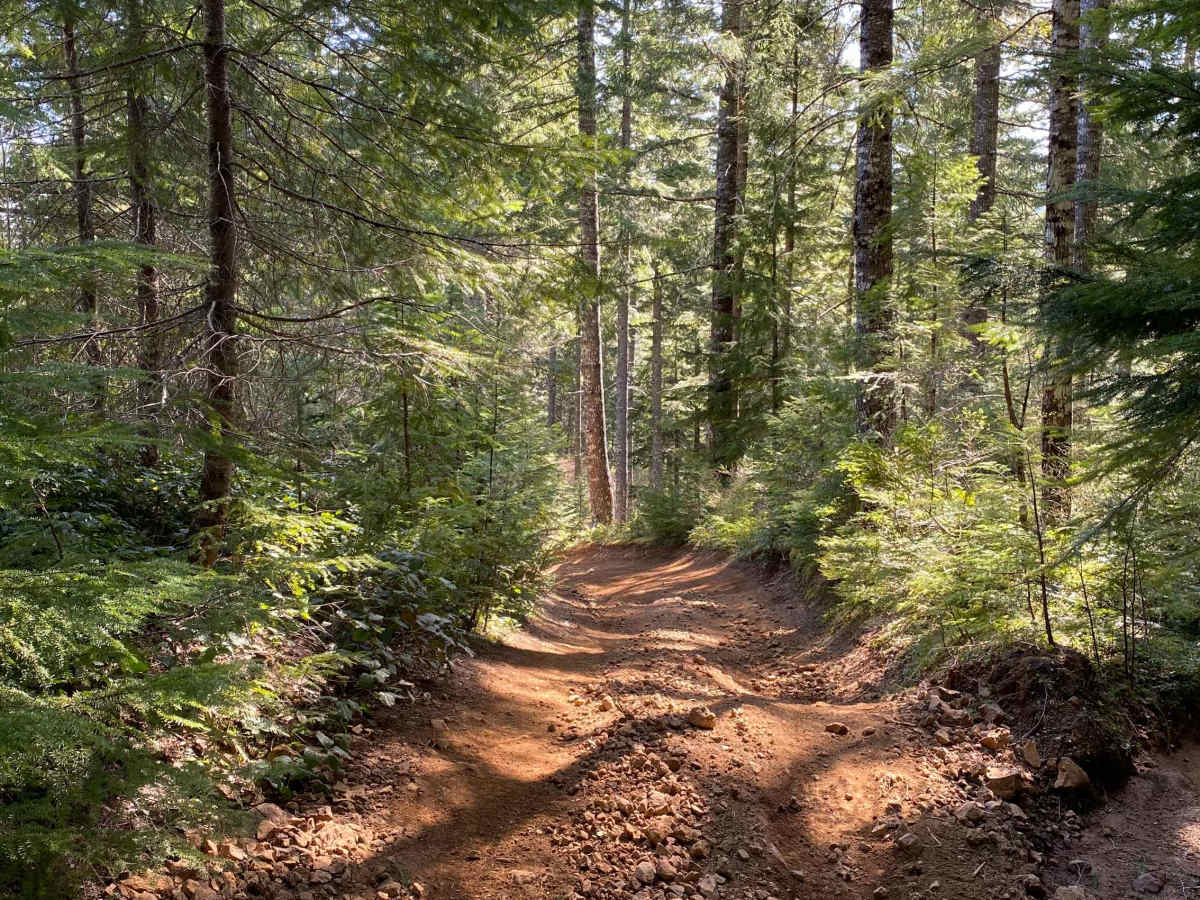 Trail 20 - Hoodraiser photo 6