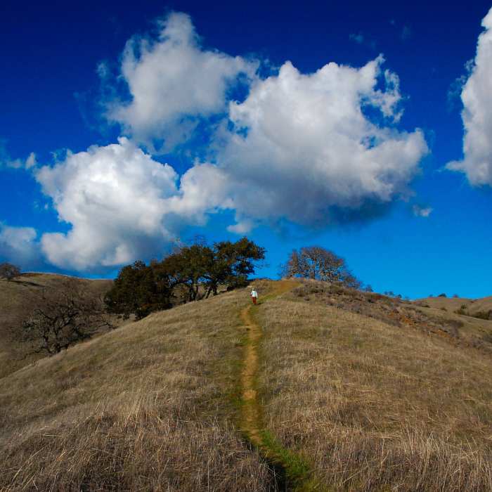 Near Hunting Hollow Road