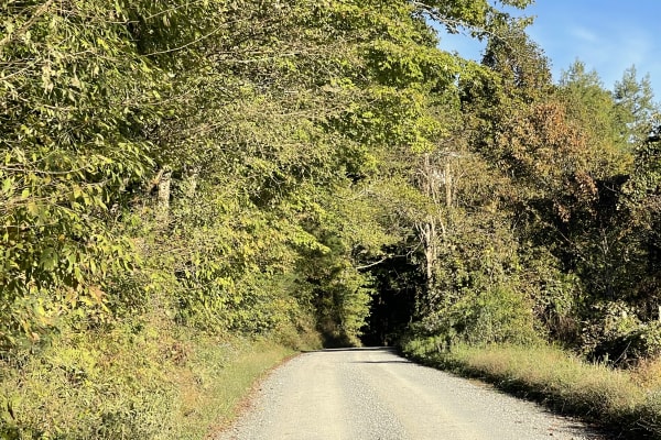 Laurel Creek Road