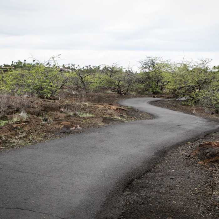Near Kalahuipua'a Trail + Fishponds
