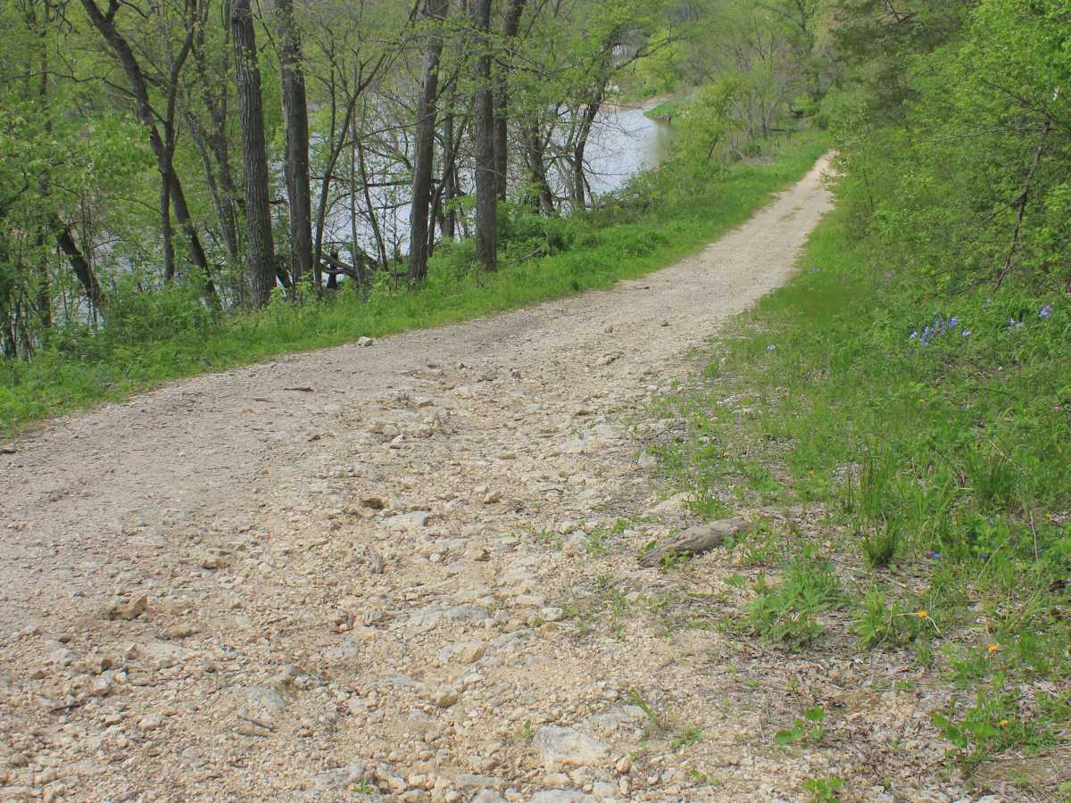 Big Springs Old Log Road trail photo