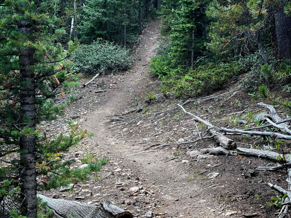 Louie’s Loop #660  photo 2