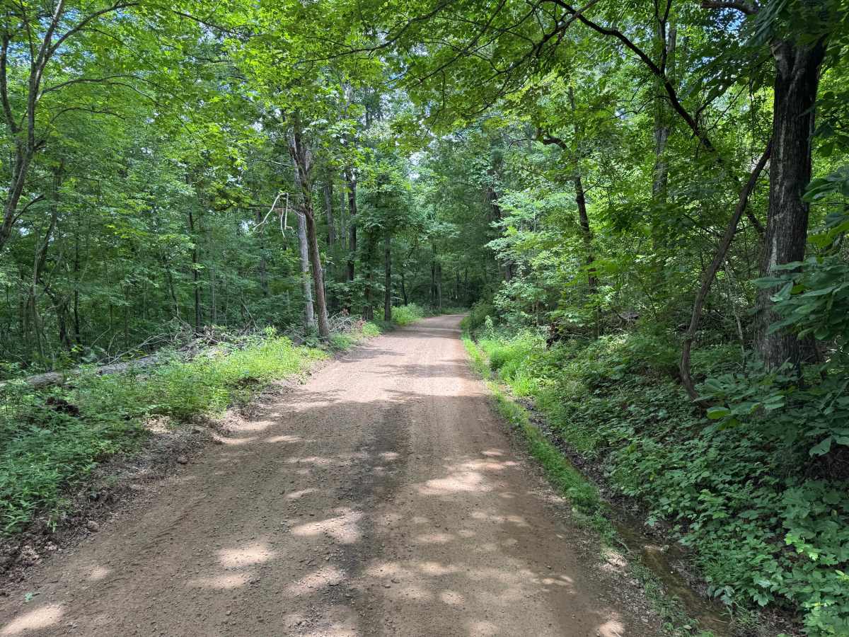 Oark Road photo 4