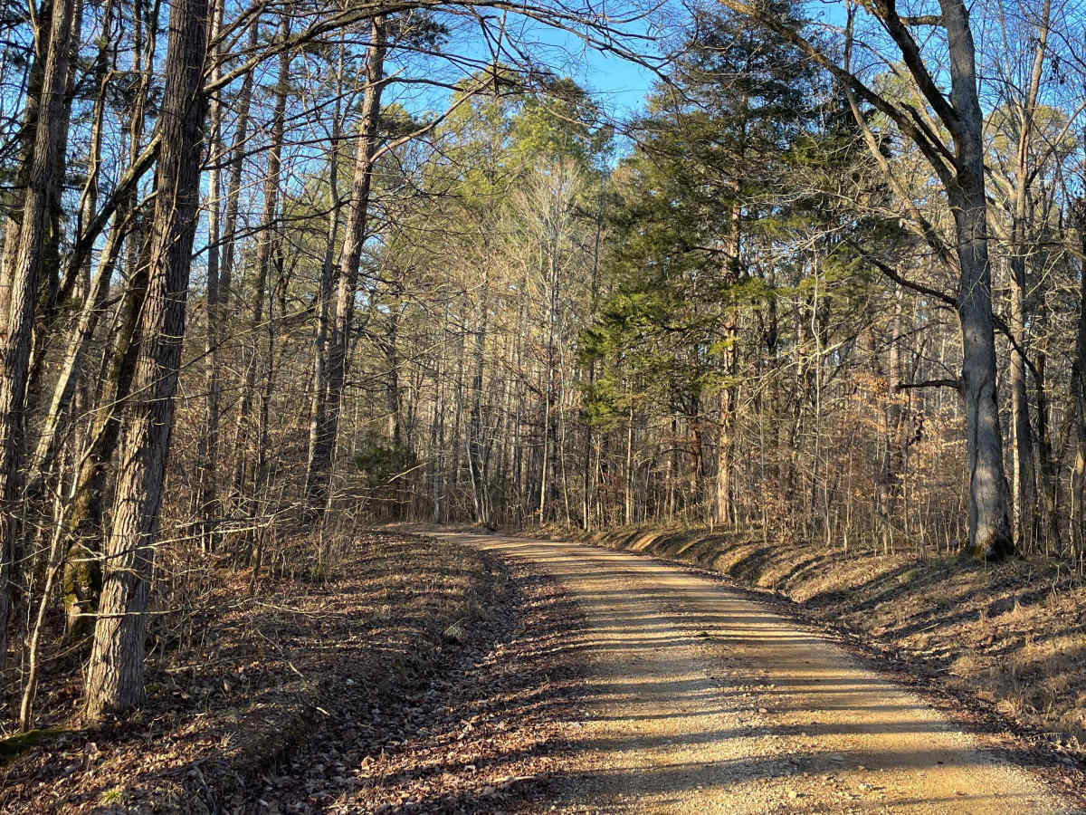 Laurel Hill Road photo 5