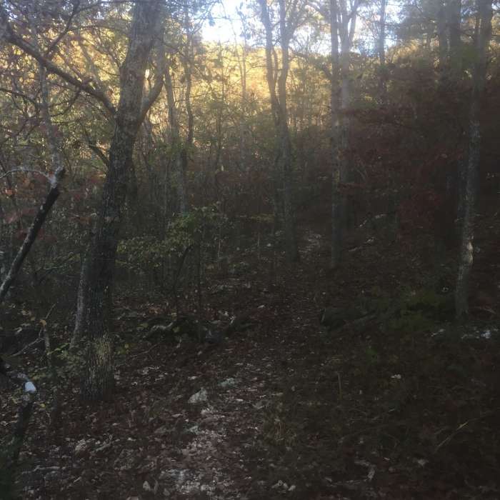 Near Wilderness Trail