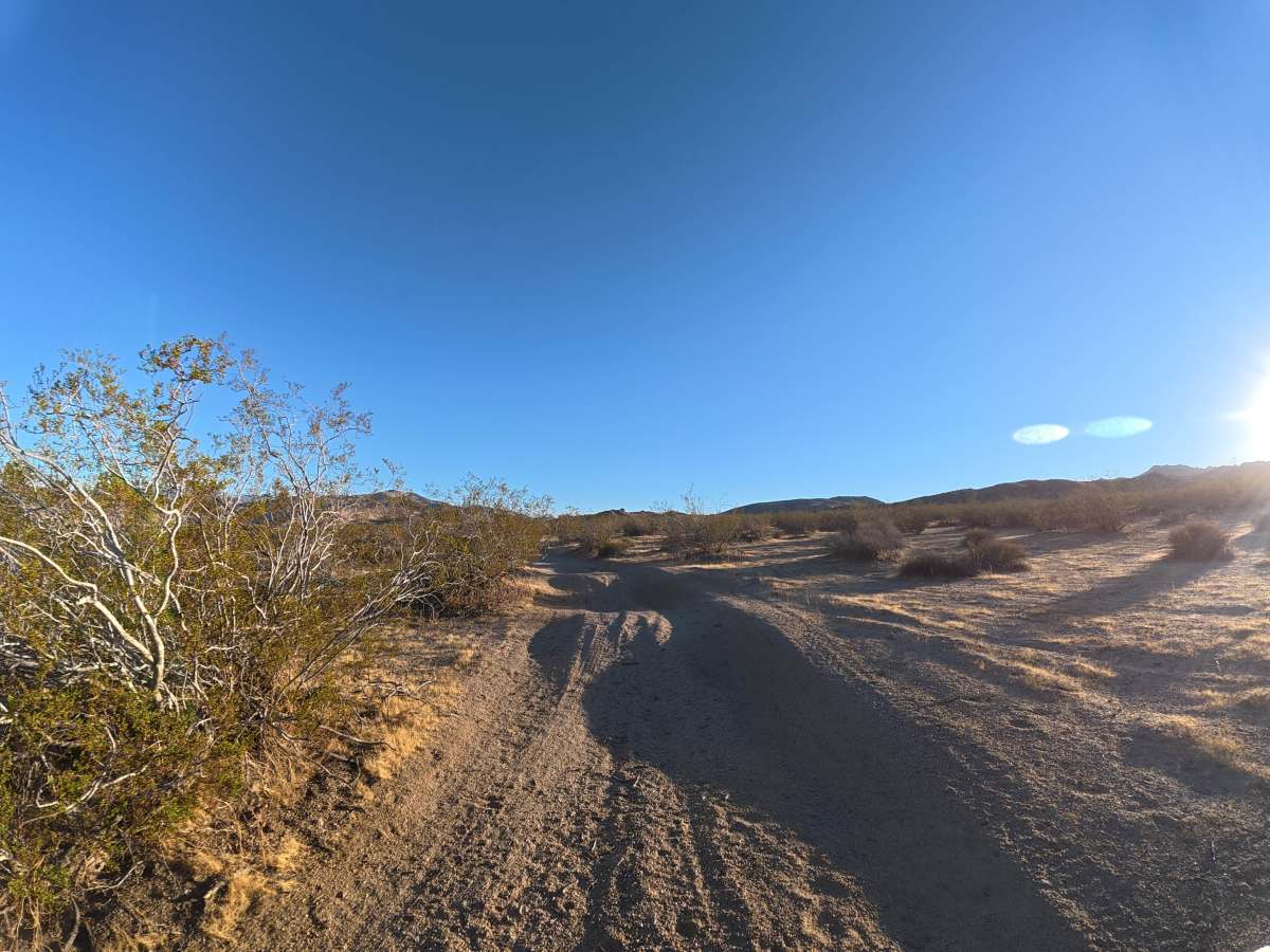 BLM SV2607 photo 2