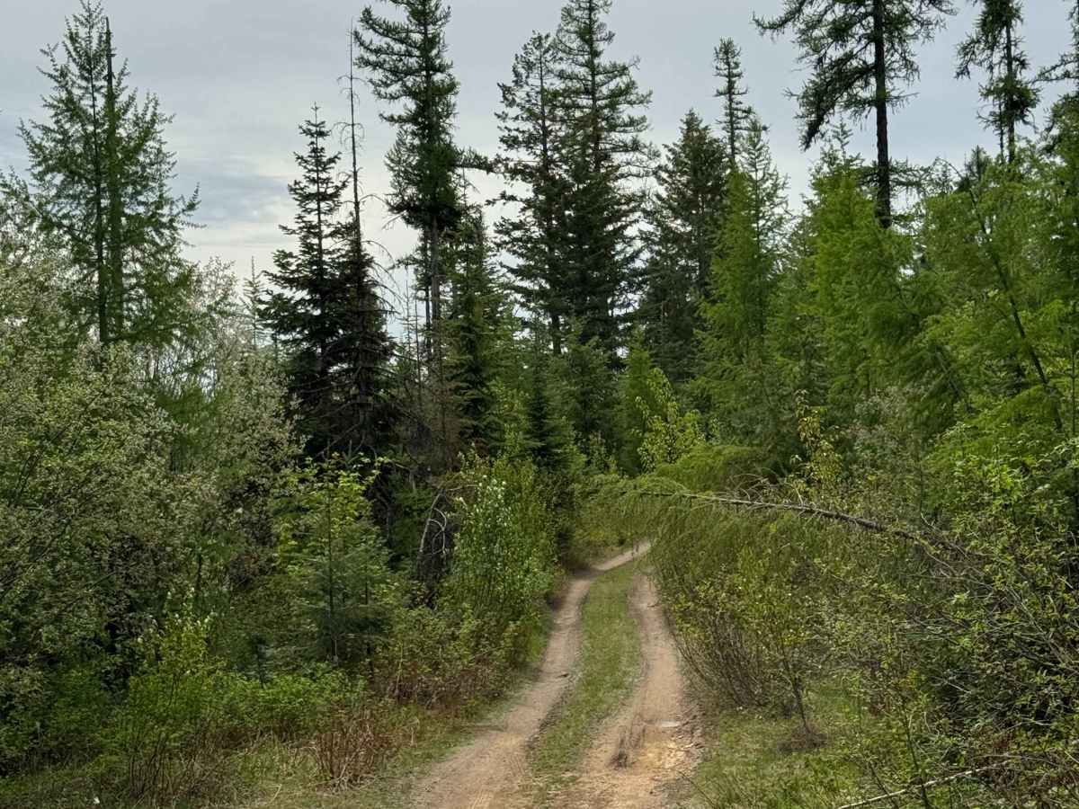 DNR Road E363717 trail photo