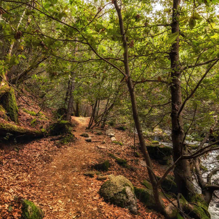 Near Whiskeytown Falls