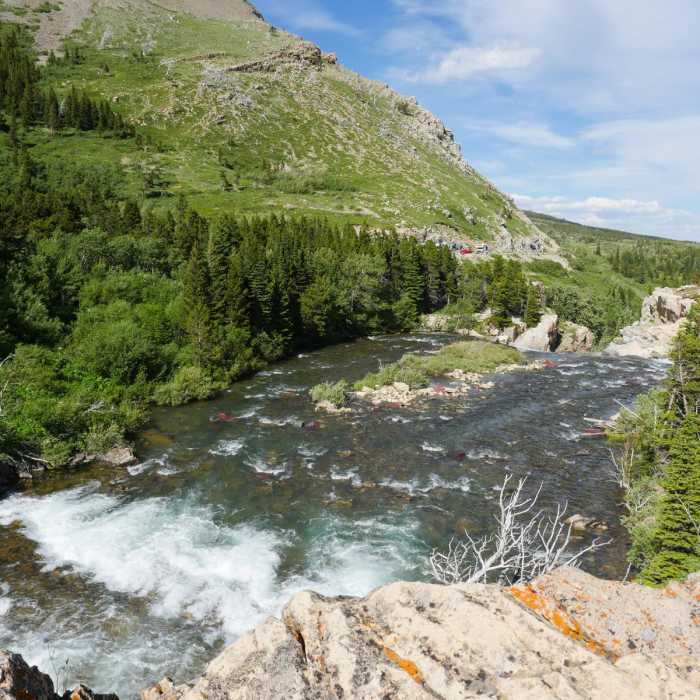 Near Swiftcurrent River Falls