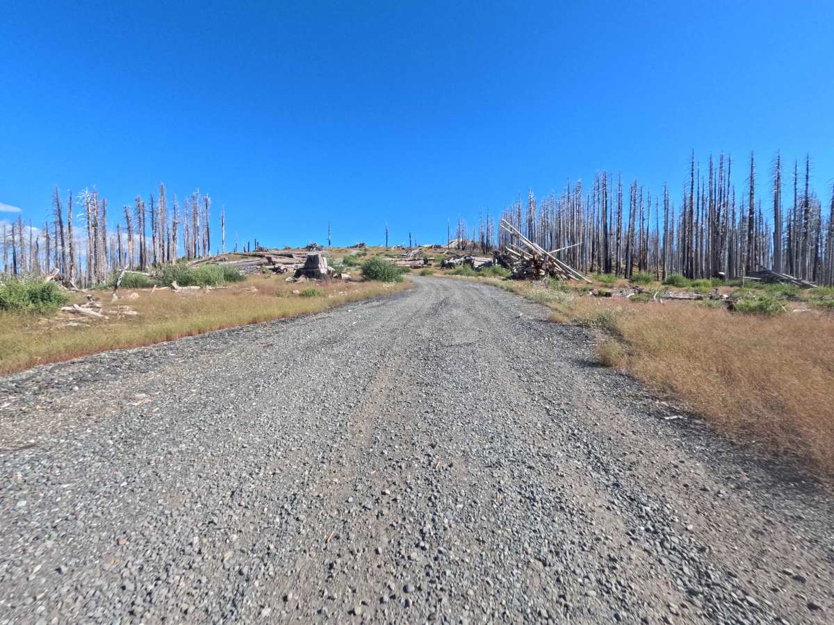 Boundary Road - FS 22N26 photo 2